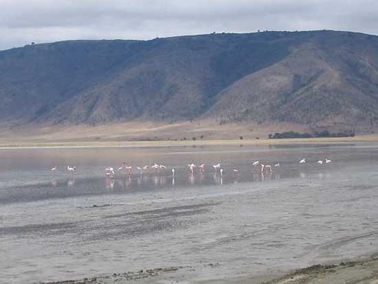ngorongoro_06