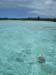 pemba_15